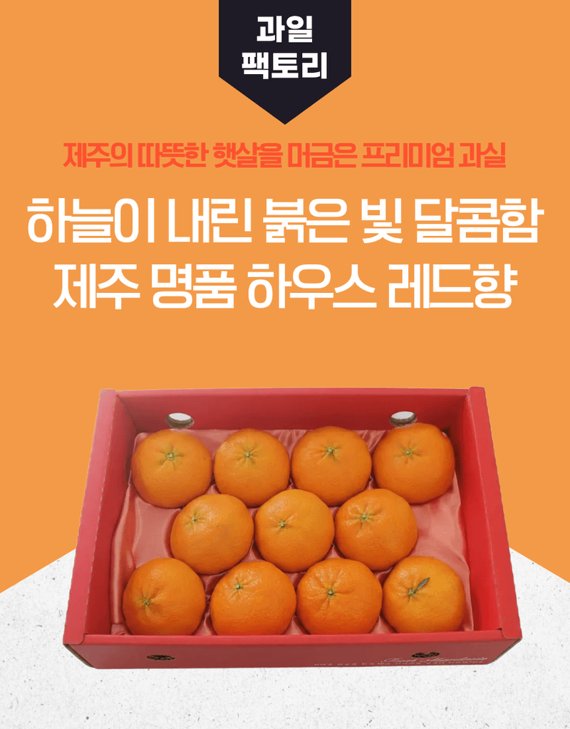 과일팩토리님의 장터 판매 상품 [[붉은보석 레드향] 입안 가득 과즙 폭발 제주도 하우스 레드향 선물세트 1.5kg/2.5kg/4.5kg] 첨부 사진