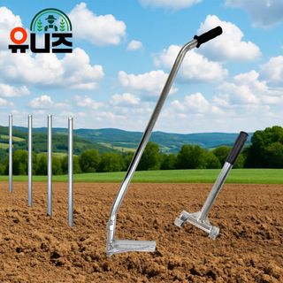 유니즈님의 작성글 사진