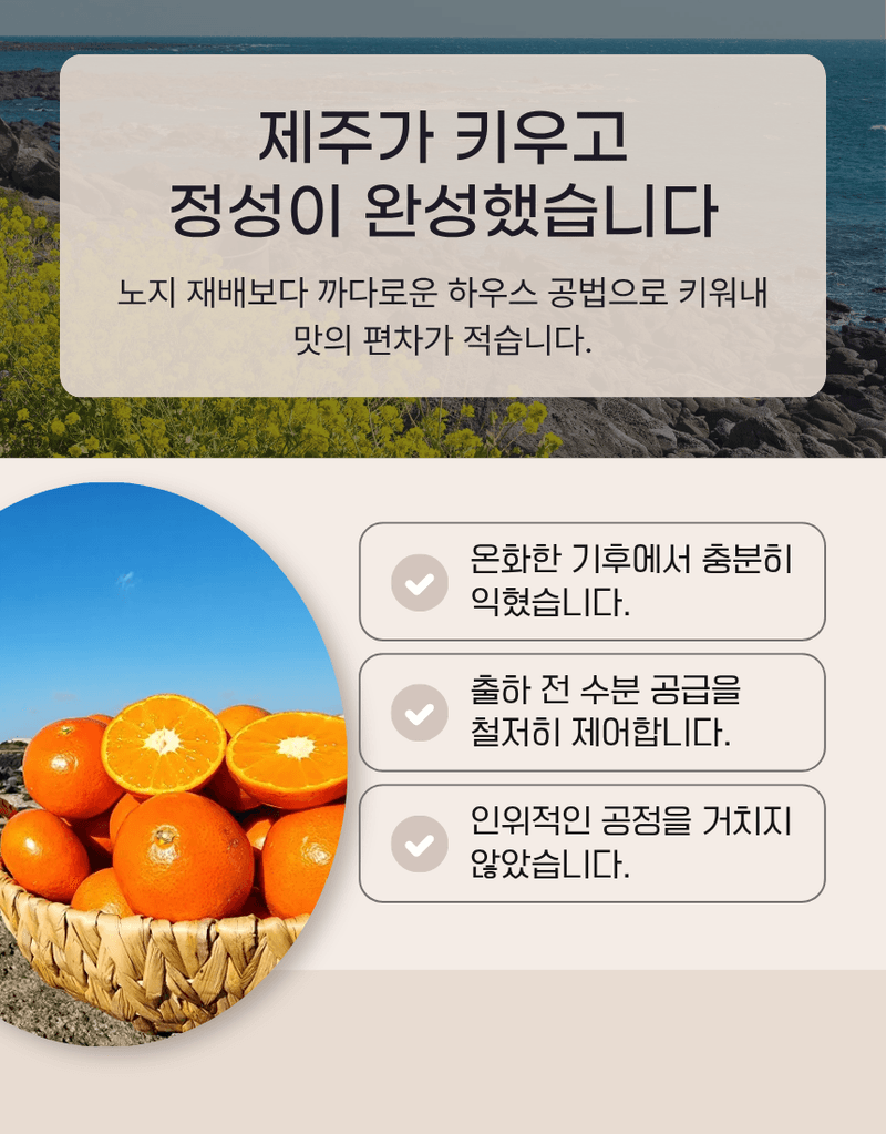 과일팩토리님의 장터 판매 상품 [[붉은보석 레드향] 입안 가득 과즙 폭발 제주도 하우스 레드향 선물세트 1.5kg/2.5kg/4.5kg] 첨부 사진