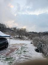 팜모닝 · 게시글 이미지