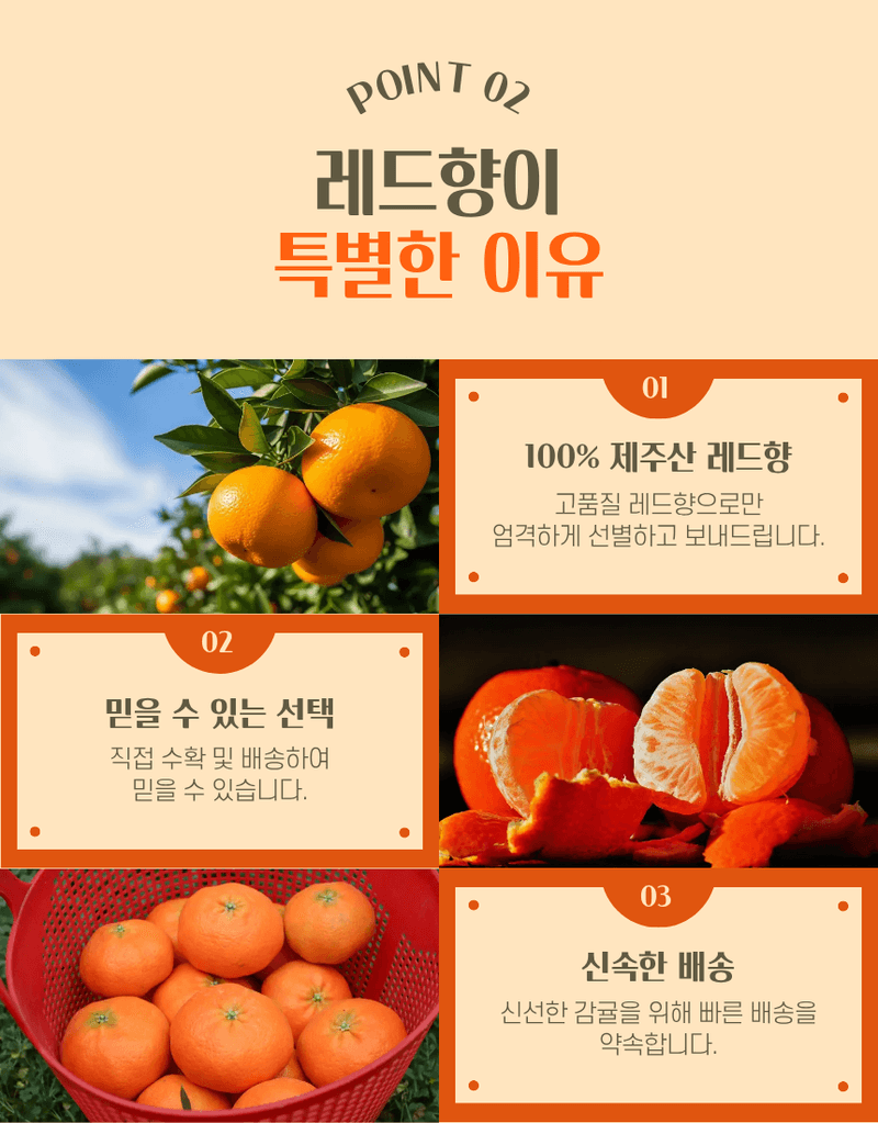 과일팩토리님의 장터 판매 상품 [[실속형 레드향] 모양보다 맛 제주산 산지직송 레드향] 첨부 사진