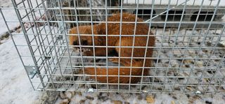 최연재님의 자유주제 · 자유게시판 작성글 사진