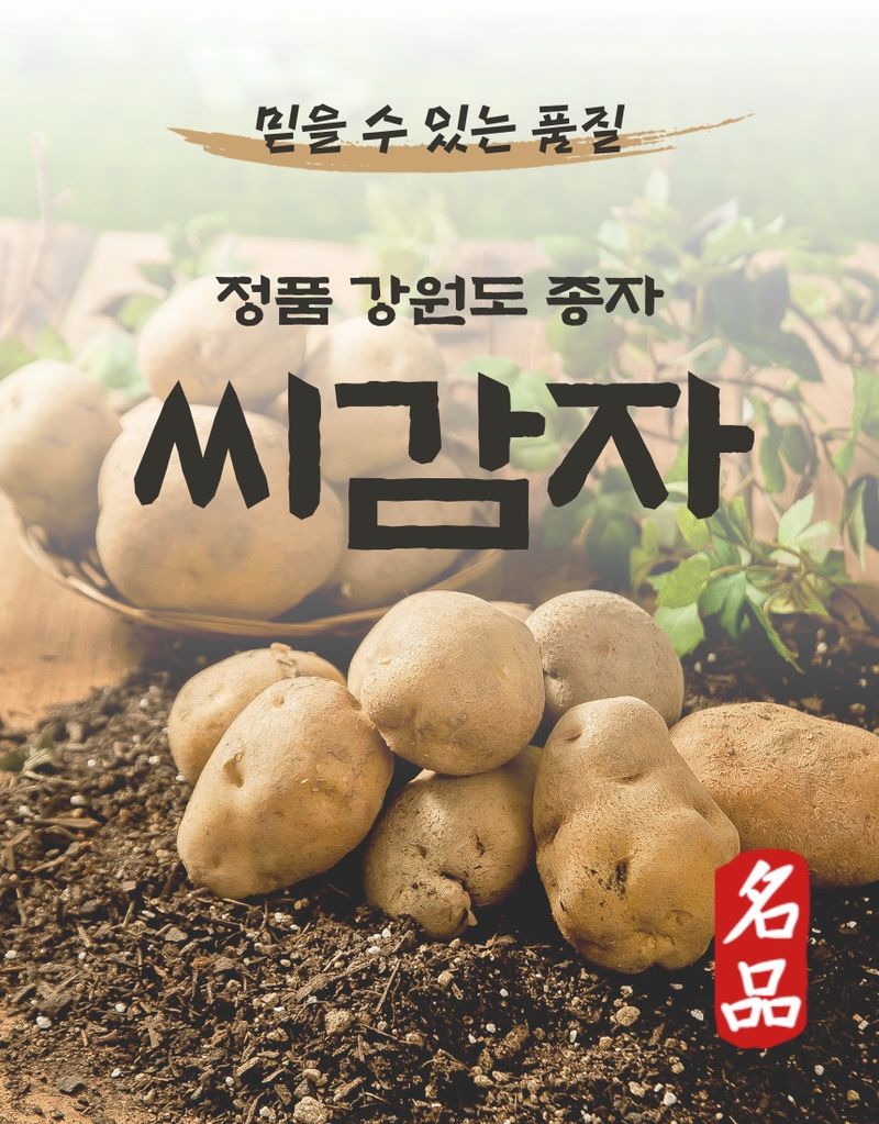 플랜큐님의 장터 판매 상품 [강원도 오대산 정품 수미 두백 씨감자 4kg/10kg/20kg] 첨부 사진