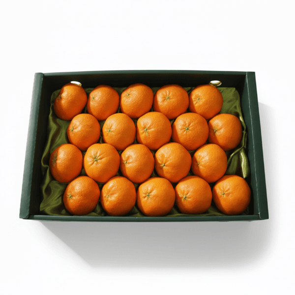 장터 상품 [[붉은보석 레드향] 입안 가득 과즙 폭발 제주도 하우스 레드향 선물세트 1.5kg/2.5kg/4.5kg] 썸네일