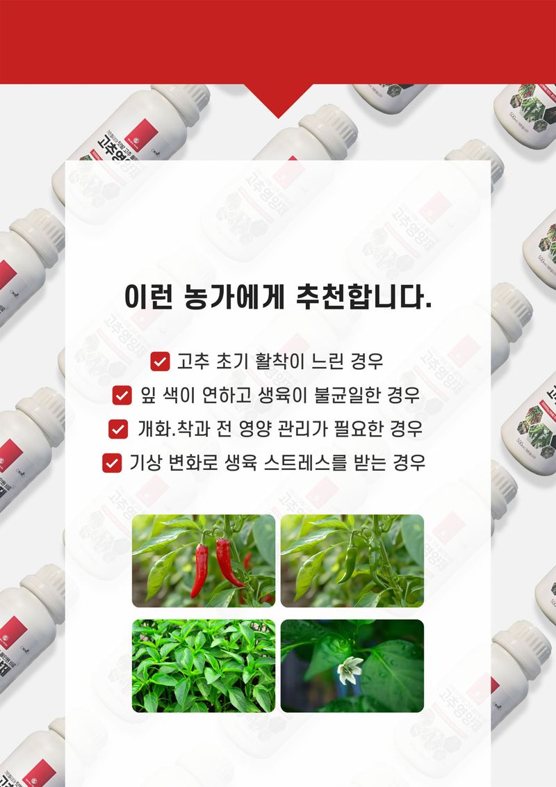 파머스케어님의 장터 판매 상품 [가든필리아 뿌리발근제500ml 고추영양제500ml 세트신개념 뿌리활착 영양제 풀빅산 해초추출물 올인원 고추비료] 첨부 사진