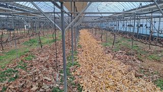 모포리흰개 님의 자유주제 · 자유게시판 작성글 사진