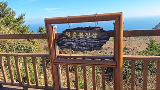 양동하님의 자유주제 · 자유게시판 작성글 사진