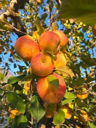 최동구님의 작성글 사진