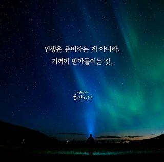 (팽나무*공주)님의 자유주제 · 자유게시판 작성글 사진