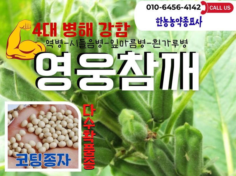 장터 상품 [[참깨씨앗]수확량 많은 참깨씨앗] 썸네일