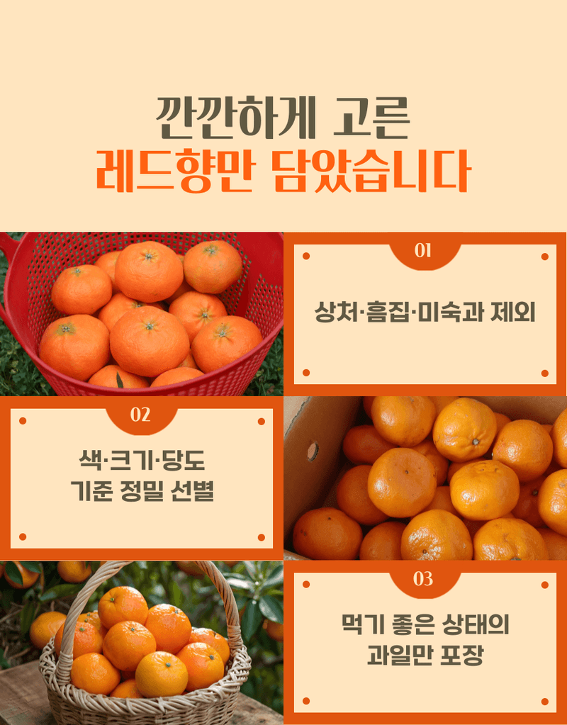 과일팩토리님의 장터 판매 상품 [[당도보장] 고당도 제주 하우스 가정용 레드향 1.5kg/2.5kg/4.5kg] 첨부 사진
