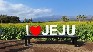 양동하님의 자유주제·자유게시판 작성글 사진