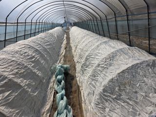 착한농부 안병하님의 자유주제 · 자유게시판 작성글 사진