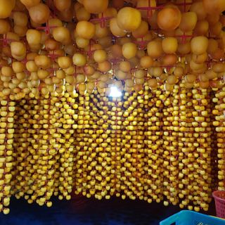 박수연님의 작성글 사진