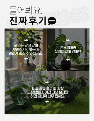 농업마켓365님의 작성글 사진