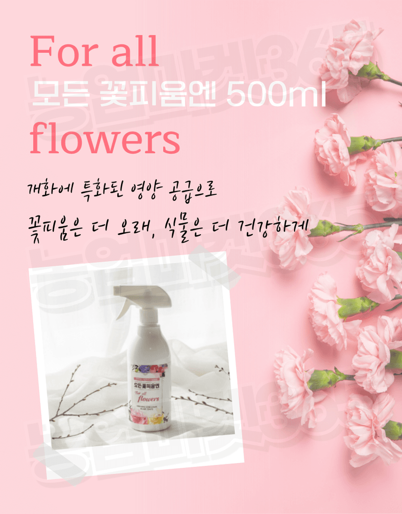 농업마켓365님의 장터 판매 상품 [모든꽃피움엔 꽃눈 개화 결실 케어 해조추출물 스프레이형 500ml 식물영양제 화분영양제 ] 첨부 사진