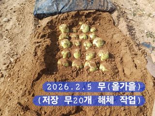 박성민님의 자유주제 · 자유게시판 작성글 사진