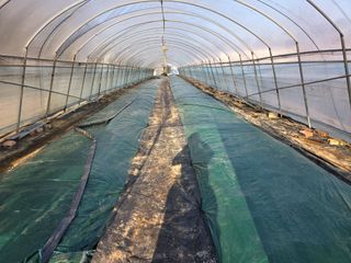 착한농부 안병하님의 자유주제 · 자유게시판 작성글 사진