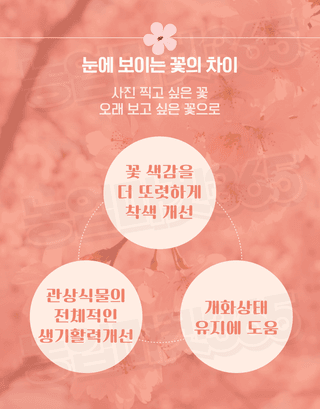 농업마켓365님의 작성글 사진
