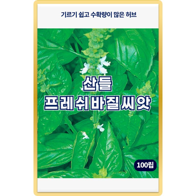 장터 상품 [산들 프레쉬 바질 씨앗 100립 향이 좋은 허브 바실씨 종자] 썸네일
