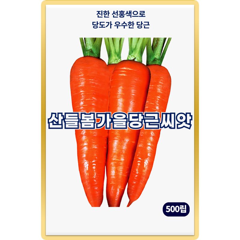 장터 상품 [산들 봄가을 당근 씨앗 500립 당도 우수한 봄 가을 당근씨 종자] 썸네일