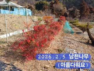 박성민님의 자유주제 · 자유게시판 작성글 사진