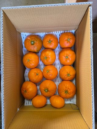 귤껍데기님의 작성글 사진