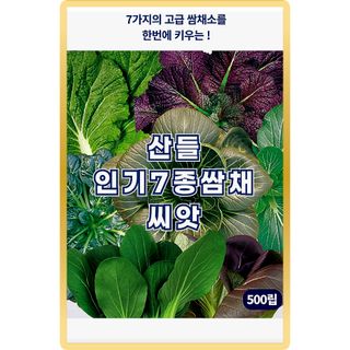 산들마켓,씨앗마켓님의 작성글 사진
