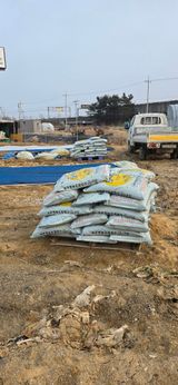 팜모닝 자유주제·자유게시판 게시글 이미지