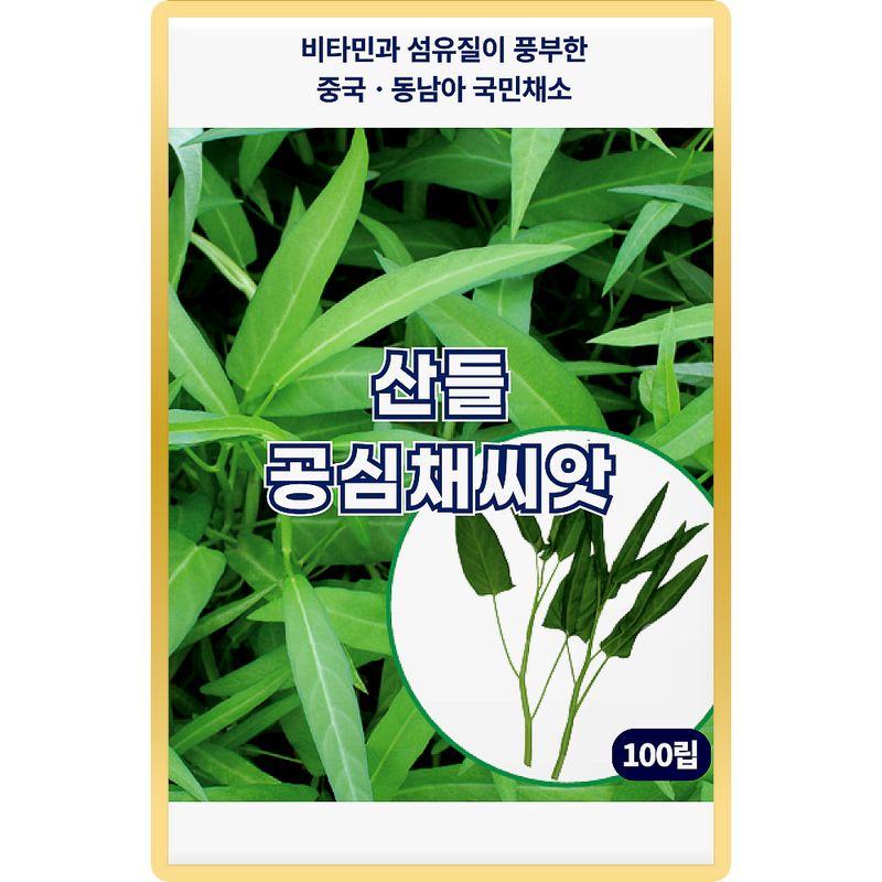 장터 상품 [산들 공심채 씨앗 100립 비타민 풍부한 중국 동남아 국민채소 모닝글로리 공심채씨 종자] 썸네일