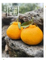 팜모닝 · 게시글 이미지