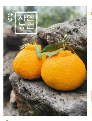 산방자연농원님의 작성글 사진