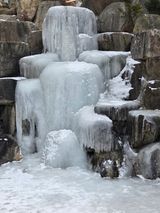 팜모닝 · 게시글 이미지