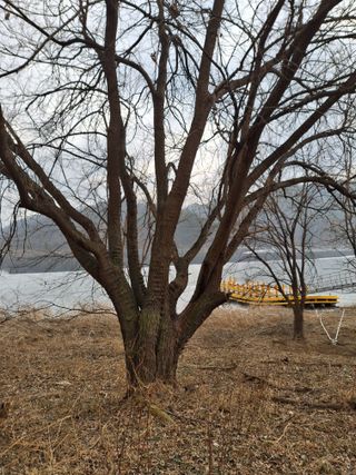 MSG0074님의 자유주제 · 자유게시판 작성글 사진