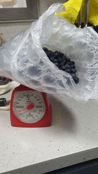 김재량 가을이야.님의 자유주제 · 자유게시판 작성글 사진