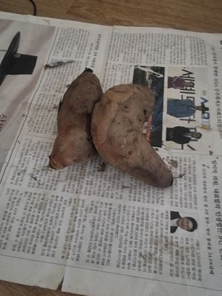 정석범님의 자유주제 · 자유게시판 작성글 사진