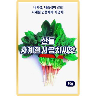 산들마켓,씨앗마켓님의 작성글 사진
