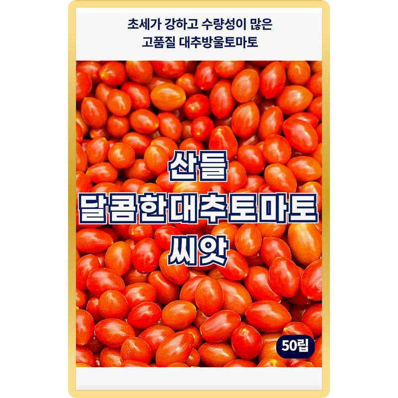 장터 상품 [산들 달콤한 대추 토마토씨앗 50립 바이러스에 강한 수량성이 좋은 방울 토마토씨 종자] 썸네일