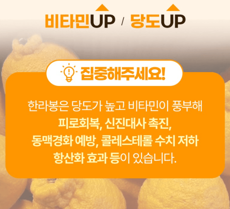 스피드번님의 장터 판매 상품 [초특가 한라봉 선물세트 ] 첨부 사진