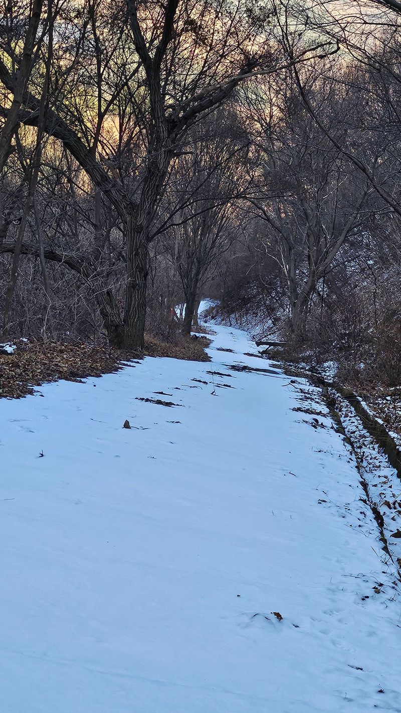 장터 상품 [백운산고로쇠 12병 1말] 썸네일