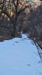 팜모닝 · 게시글 이미지