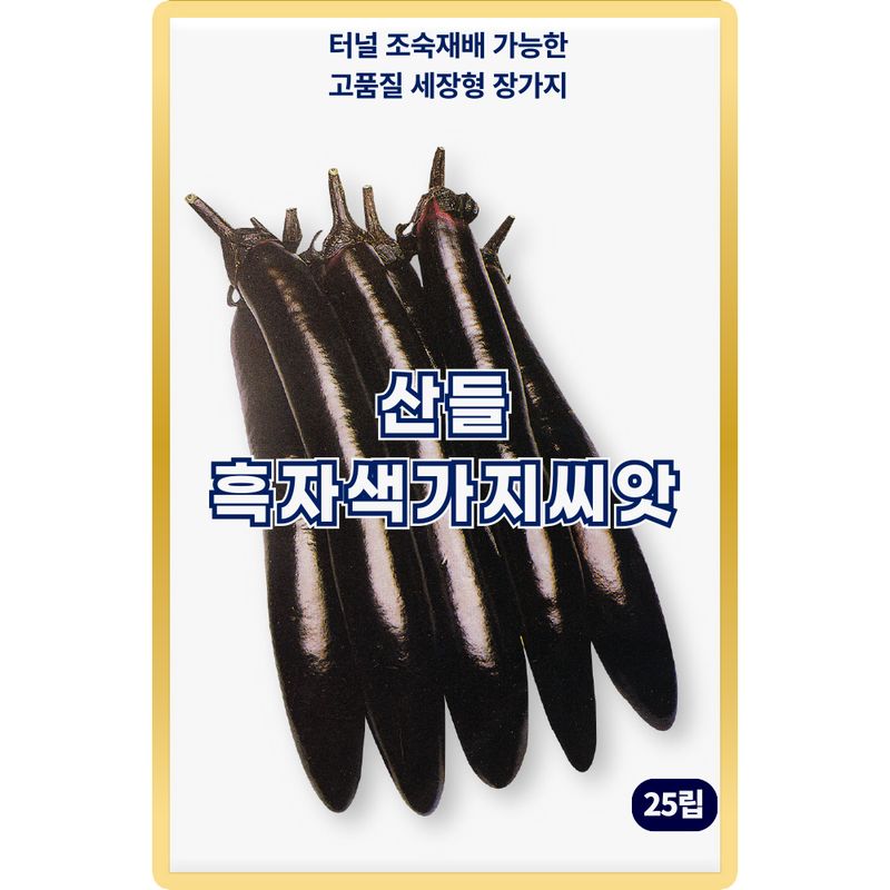 장터 상품 [산들 흑자색 가지 씨앗 25립 조숙재배 가능한 고품질 가지씨 종자] 썸네일