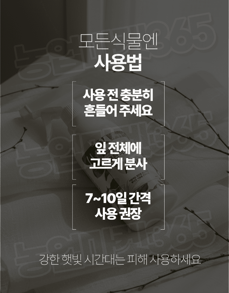 농업마켓365님의 장터 판매 상품 [모든식물엔 올인원 분무형 반려식물 해조추출물 함유 500ml 식물영양제 화분영양제] 첨부 사진