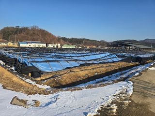 심상진님의 작성글 사진