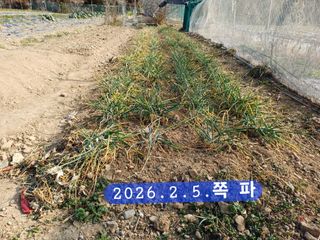 박성민님의 자유주제 · 자유게시판 작성글 사진