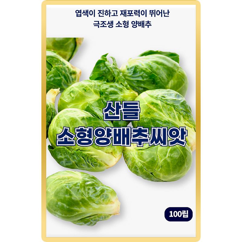장터 상품 [산들 소형 양배추 씨앗 100립 당도 매우높고 내한성 강한 극조생 소형 양배추씨 종자] 썸네일