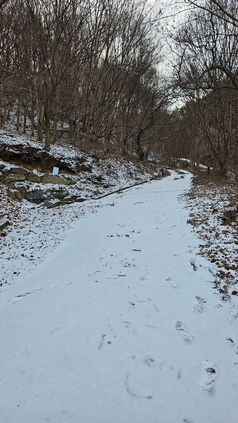 권혜전님의 장터 판매 상품 [백운산고로쇠 12병 1말] 첨부 사진