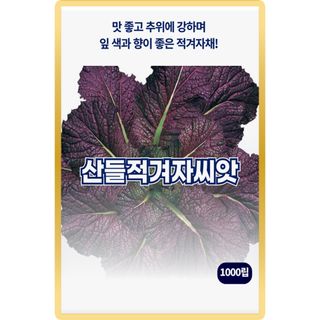 산들마켓,씨앗마켓님의 작성글 사진
