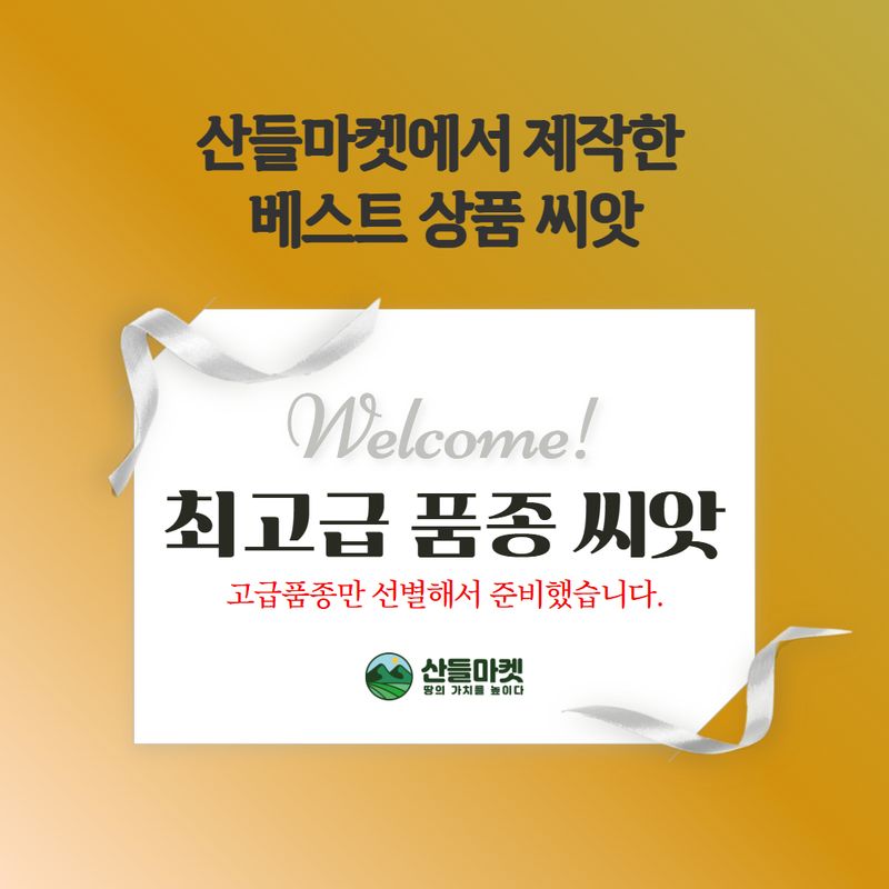 산들마켓,씨앗마켓님의 장터 판매 상품 [산들 인기 7종쌈채 씨앗 500립 7가지의 다양한 쌈채소씨 종자] 첨부 사진