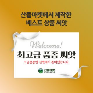 산들마켓,씨앗마켓님의 작성글 사진